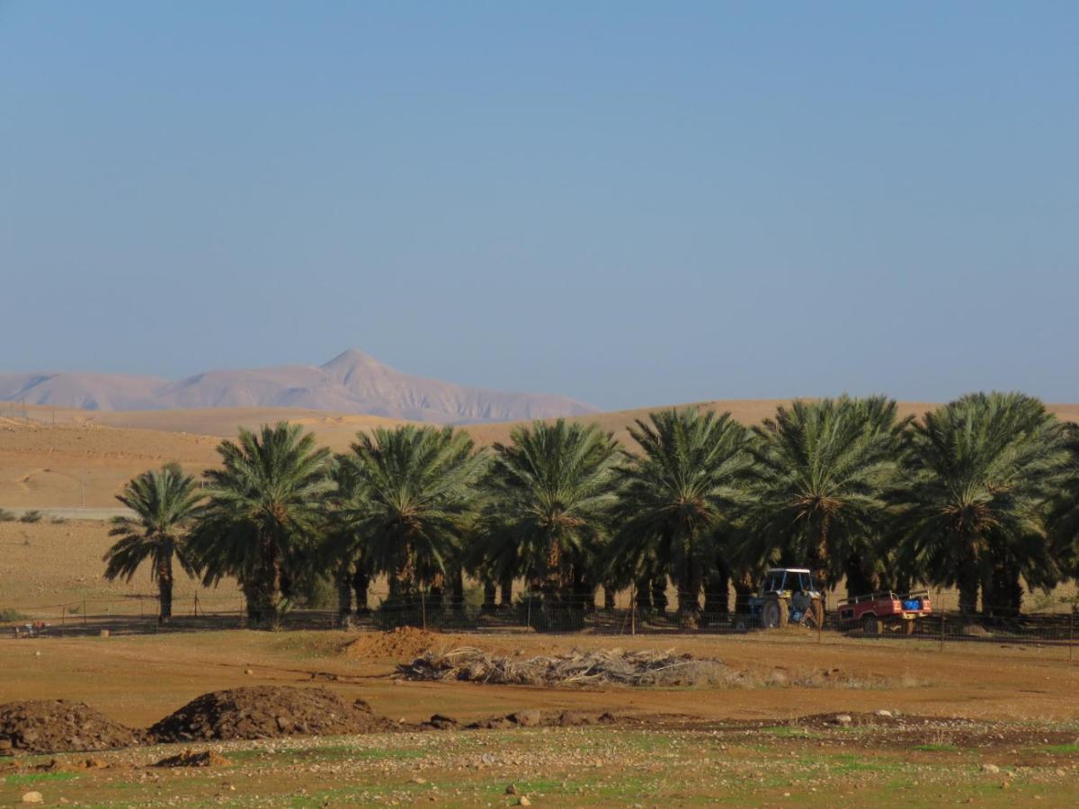 Meqor Hayyim חוות עינות קדם- Einot Kedem Farmヴィラ エクステリア 写真